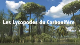 PALÉOBOTANIQUE 1  Les lycopodes du Carbonifère [upl. by Nirac817]