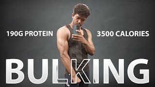 3500 calories diet  bulking diet  full day of eating  desi diet plan  Indian diet [upl. by Molly]