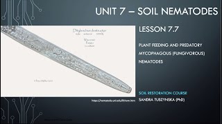 Lesson 77  Fungivorous nematodes as plant parasites and predators [upl. by Icats]