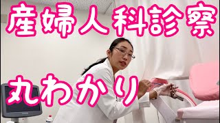 【医者目線】産婦人科診察ってこんな感じ！リアルにお届け [upl. by Nalani21]