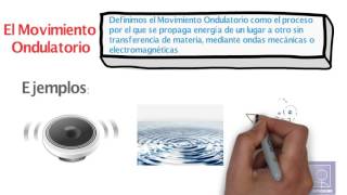 Movimiento Ondulatorio Explicación y ejemplos  Apréndelo HOY😎​🫵​💯​ Física [upl. by Idnis274]