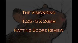 The VisionKing 1 25  5 x 26mm Ratting Scope Review [upl. by Kimmy]