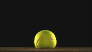 The Beauty of Slow Motion  Tennis Ball Bounce [upl. by Brest]