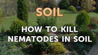 How to Kill Nematodes in Soil [upl. by Icken]