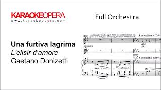 Karaoke Opera Una Furtiva Lagrima  LElisir dAmore Donizetti Orchestra only version [upl. by Ecinom200]