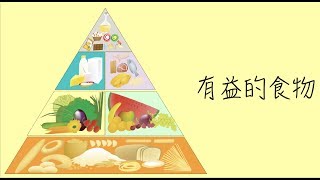 有益的食物食物金字塔歌廣東話粵語兒歌樂在課中Music Therapy In Class Hong KongCNCMS [upl. by Ernest701]