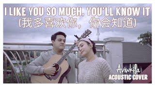 I Like You So Much You’ll Know It 我多喜欢你，你会知道  A Love So Beautiful OST English Cover [upl. by Buckden60]