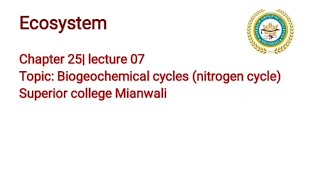 Nitrogen Cycle  Biogeochemical Cycles  Ecosystem [upl. by Rajewski]