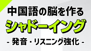 中国語の脳を作る・シャドーイング練習 – 発音・リスンング集中強化 [upl. by Ardnic]