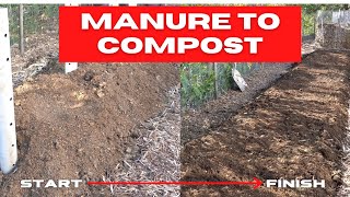 Easy Composting Horse Manure  NOWORK NOTURN NOSMELL [upl. by Leinoto956]