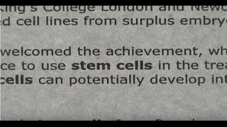 A Stem Cell Story [upl. by Gnilrits]