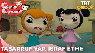 Canım Kardeşim  Tasarruf Yap İsraf Etme [upl. by Amity]