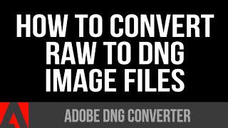 How to convert RAW to DNG Image Files [upl. by Guglielmo]