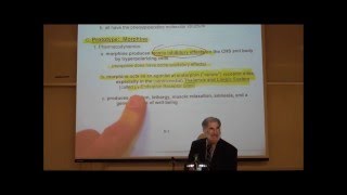 PHARMACOLOGY NARCOTIC ANALGESICS by Professor Fink [upl. by Tory85]