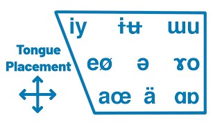 How Vowels Work  International Phonetic Alphabet Guide [upl. by Asselam342]