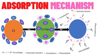 Adsorption mechanism [upl. by Aital]