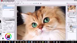 Clip Studio Paint Tutorial The Basics for Beginners [upl. by Alicsirp]