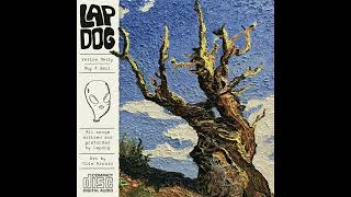 Lapdog – Yellow Belly [upl. by Phip453]