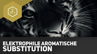 Elektrophile aromatische Substitution [upl. by Deacon]