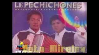 Se fue mi cantante Los Pechichones Con Letra Ay Hombe [upl. by Ahsemad]