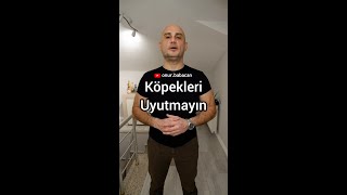 Köpekleri Uyutmayın [upl. by Eras]