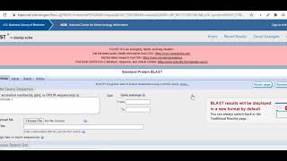 Protein Blast how to search protein sequence in NCBI and BLAST [upl. by Notsla]