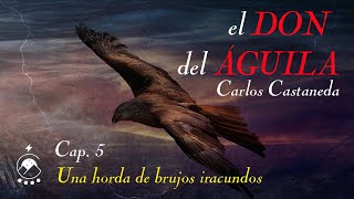 🦅 Cap 5 Una horda de brujos iracundos  𝘦𝘭 𝘋𝘖𝘕 𝘥𝘦𝘭 Á𝘎𝘜𝘐𝘓𝘈  Carlos Castaneda  Voz Chavenato [upl. by Ainot156]