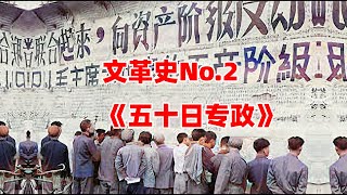 文革史【2】五十日专政——北大马会 [upl. by Ludlew]