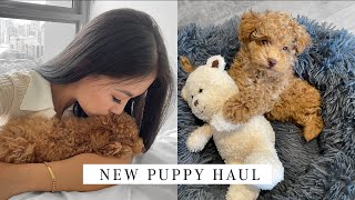 HUGE PUPPY HAUL New puppy essentials checklist [upl. by Amice]