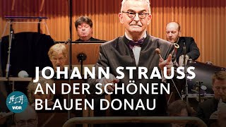 An der schönen blauen Donau Donauwalzer  Johann Strauss Sohn  WDR Funkhausorchester [upl. by Leitao896]