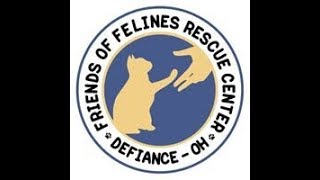 FOFRescueCenter Live Stream [upl. by Everard73]