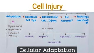 Cell Injury  Cellular Adaptation  General Pathology  Chirag Baraiya [upl. by Refannej]