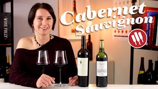 Explore The Styles of Cabernet Sauvignon  Wine Folly [upl. by Asined802]