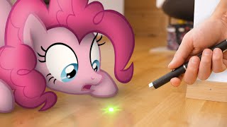 Pinkie Pies New Friend MLP in real life [upl. by Bertasi]