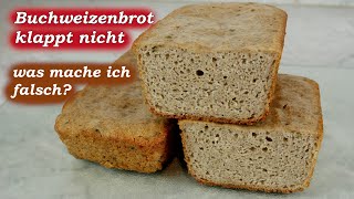 Buchweizenbrot klappt nicht  was mache ich falsch [upl. by Hartill]