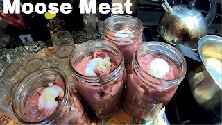 How to Pressure Can MOOSE MEAT DOUBLE STACKED [upl. by Marley972]