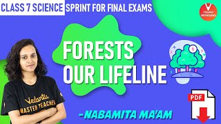 Forests Our Lifeline  Class 7 Science Sprint for Final Exams  Chapter 17 VedantuJunior [upl. by Sholes234]