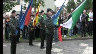 Tyrone Volunteers Day Commemoration 2013 [upl. by Chud]