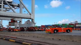 Container terminal Rotterdam [upl. by Olegnad]