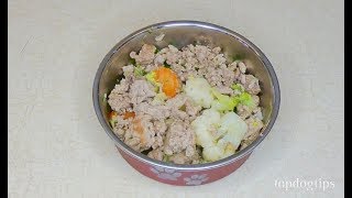 Homemade Dog Food Recipe for Skin Allergies [upl. by Eibloc]