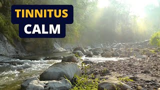 Tinnitus Relief Sound Therapy  Ambient River White Noise [upl. by Eitisahc]