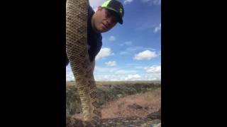 How to kill a Rattlesnake Properly [upl. by Desberg]