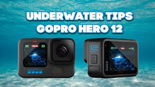 Underwater Tips  GoPro Hero 12 [upl. by Toiboid899]