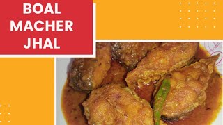 Boal macher jhalBengali fish recipeBoal Fish Recipe [upl. by Kerwinn442]