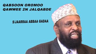 Haasawa Seena Qabeessa Jaarraa Abbaa Gadaa Bissidiimo irratti taasise [upl. by Emory]