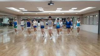 In The Navy Line Dance Low Beginner Level [upl. by Naig]