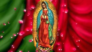 Virgen de Guadalupe [upl. by Lilah]