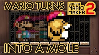 Super Mario Maker 2  Incredible Kameks Transformation Curse Level [upl. by Nauh436]