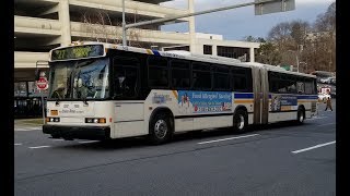 BeeLine Bus Neoplan AN460 537 Route 27 Bus From White Plains to Skyline Drive [upl. by Nnylyma]