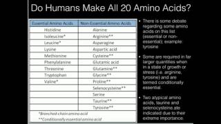 Overview of Amino Acid Biosynthesis [upl. by Notreve493]